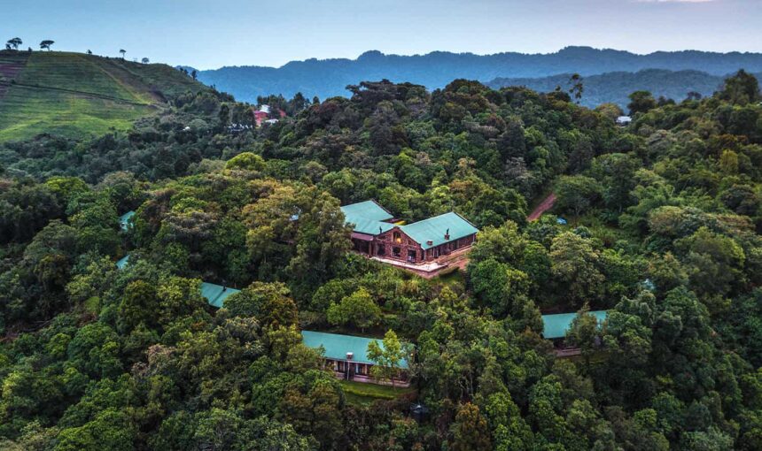 5 Day Luxury Fly-In Gorilla Safari Staying at Clouds Mountain Gorilla Lodge (2026/2027 Guide)