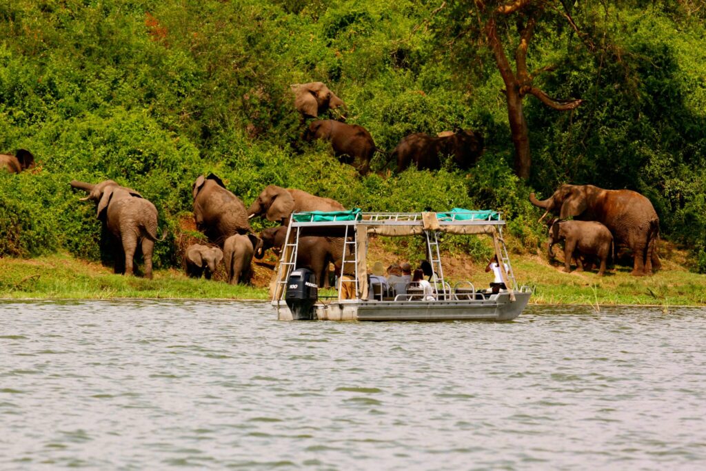 A comfortable boat safari on a 10 day senior-friendly non-bumpy Uganda wildlife safari route