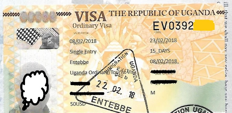 Yellow Fever Card at Entebbe Airport: Entry Requirements and Strict Rules (2026/2027 Guide) 2 Travelers presenting their yellow fever card at Entebbe Airport health screening