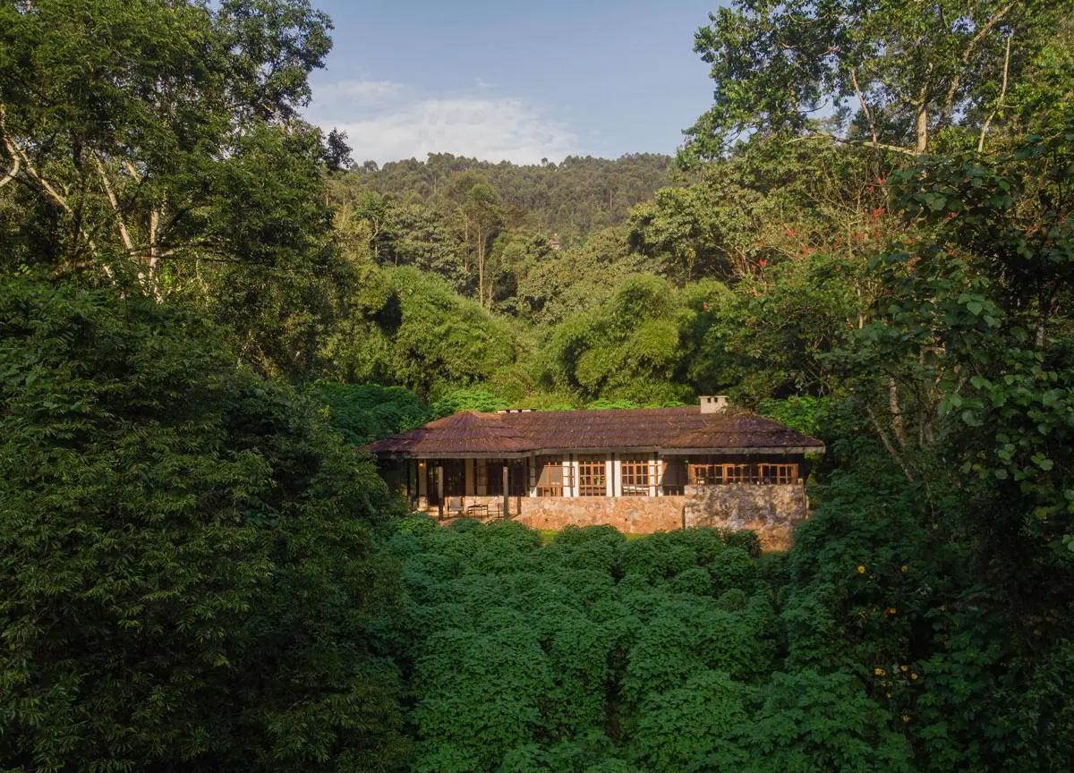 Volcanoes Bwindi Lodge, an eco-luxury option among gorilla trekking lodges with private porters