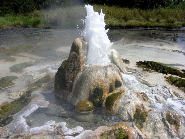 The hot springs in Kidepo Valley National Park on a 6 day Kidepo Valley National Park remote wildlife safari itinerary