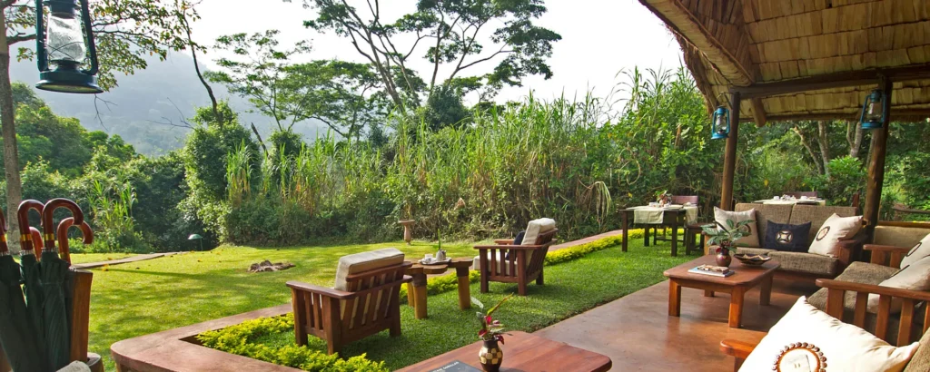 Gorilla Forest Lodge, an example of inside national park lodges Uganda with unparalleled wildlife access
