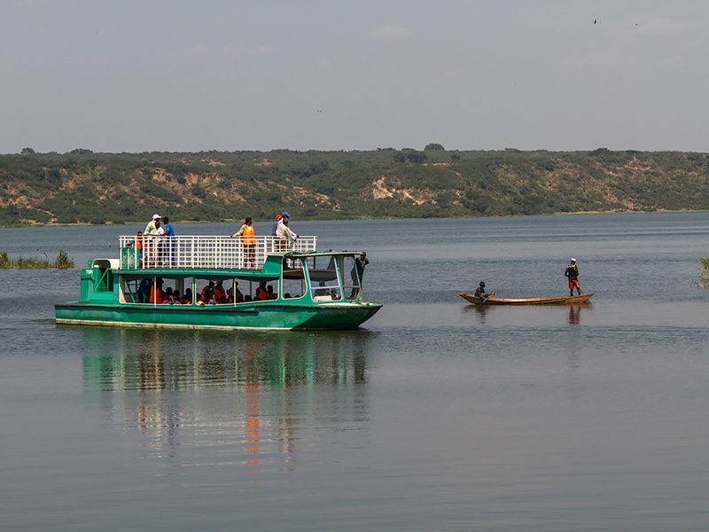 A boat safari on Kazinga Channel with hippos and birds on a 6 day Bwindi and Queen Elizabeth National Park safari itinerary