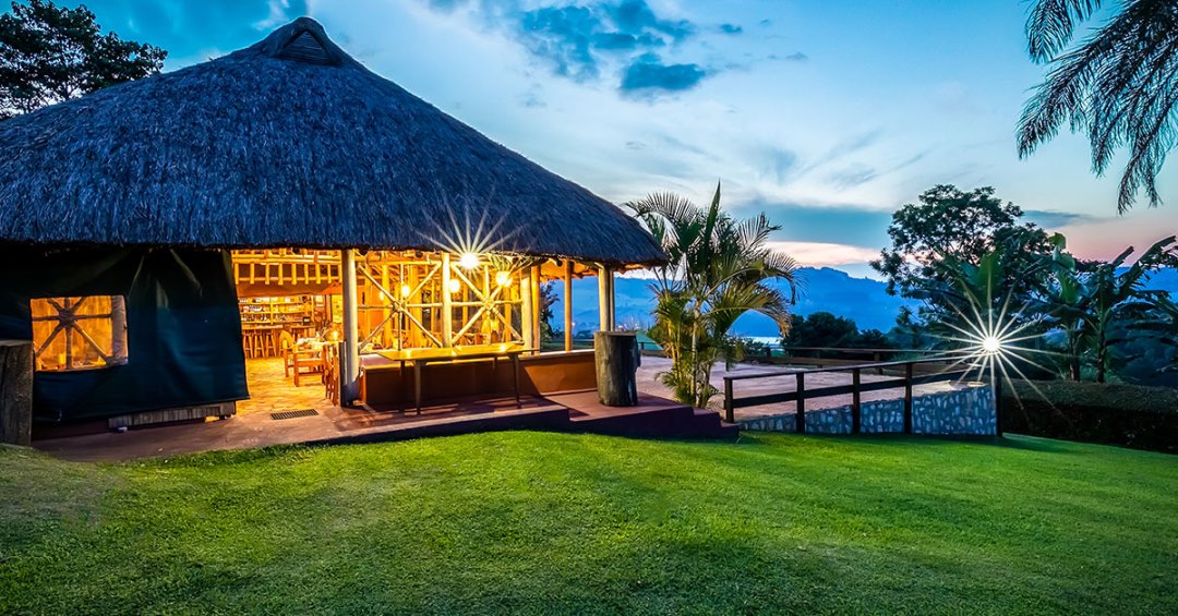 Chimpanzee Guest House, a convenient option among Kibale Forest chimpanzee tracking lodges