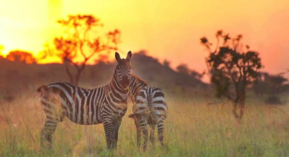 Stunning landscape of Kidepo Valley on a 14 day complete grand Uganda safari itinerary from Entebbe to Bwindi
