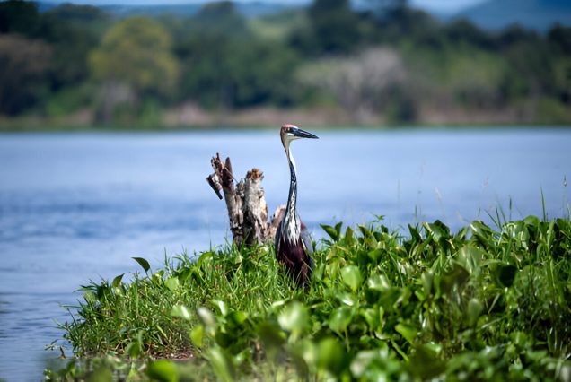 A relaxing boat ride on Lake Bunyonyi on a 6 day Bwindi and Queen Elizabeth National Park safari itinerary