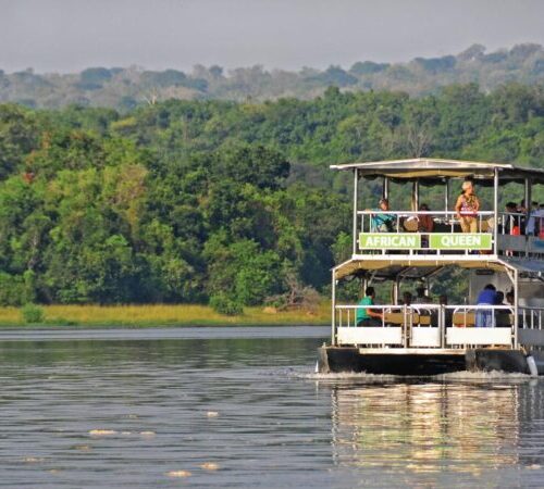 Book your 5-day Bwindi and Lake Mburo safari today!