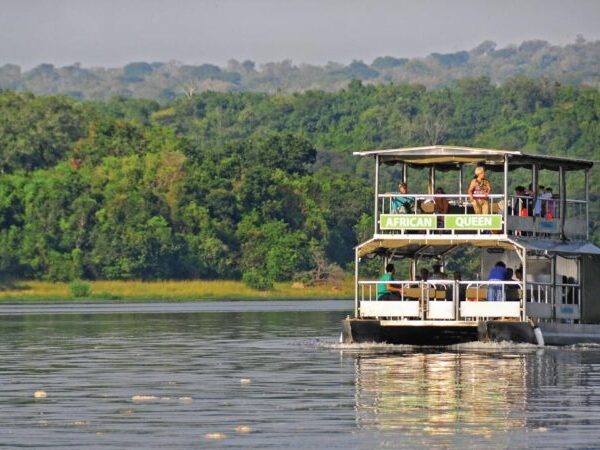 Book your 5-day Bwindi and Lake Mburo safari today!
