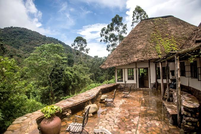 Bwindi Lodge, a community-focused option among lodges near Buhoma sector Bwindi