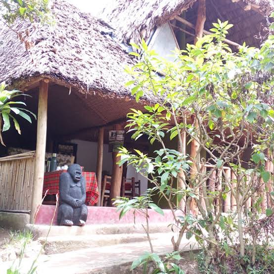 Bwindi View Bandas, a budget-friendly choice among lodges near Buhoma sector Bwindi