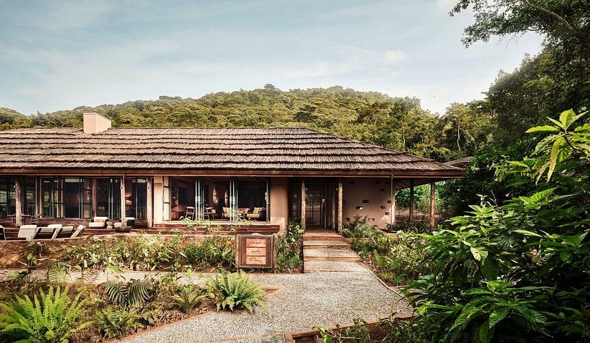 Lodges Near Buhoma Sector Bwindi: The Ultimate Accommodation Guide (2026/2027)