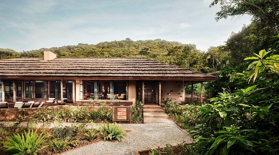 Gorilla Forest Lodge, the only lodge inside the park and a top choice among lodges near Buhoma sector Bwindi