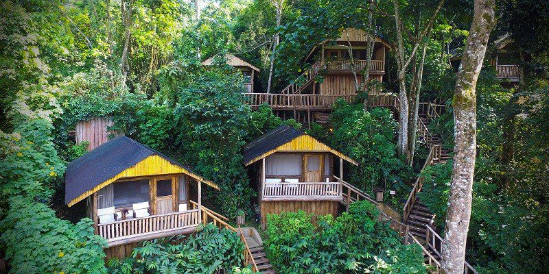 Volcanoes Bwindi Lodge, an eco-luxury option among lodges near Buhoma sector Bwindi