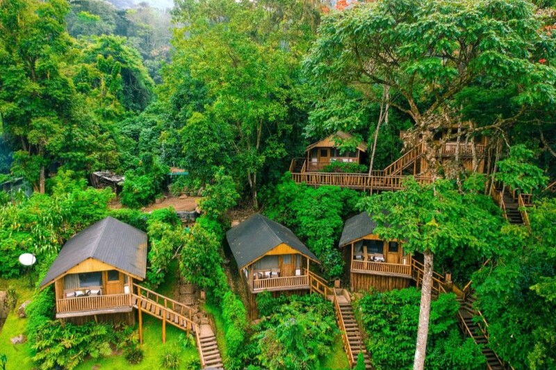 A luxury eco-lodge in Bwindi with private plunge pool on a 3 day luxury gorilla trekking safari Bwindi fly in from Entebbe