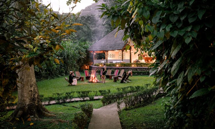 A luxury eco-lodge nestled on the edge of Bwindi Impenetrable Forest, accommodation for the 4 day Bwindi gorilla habituation experience