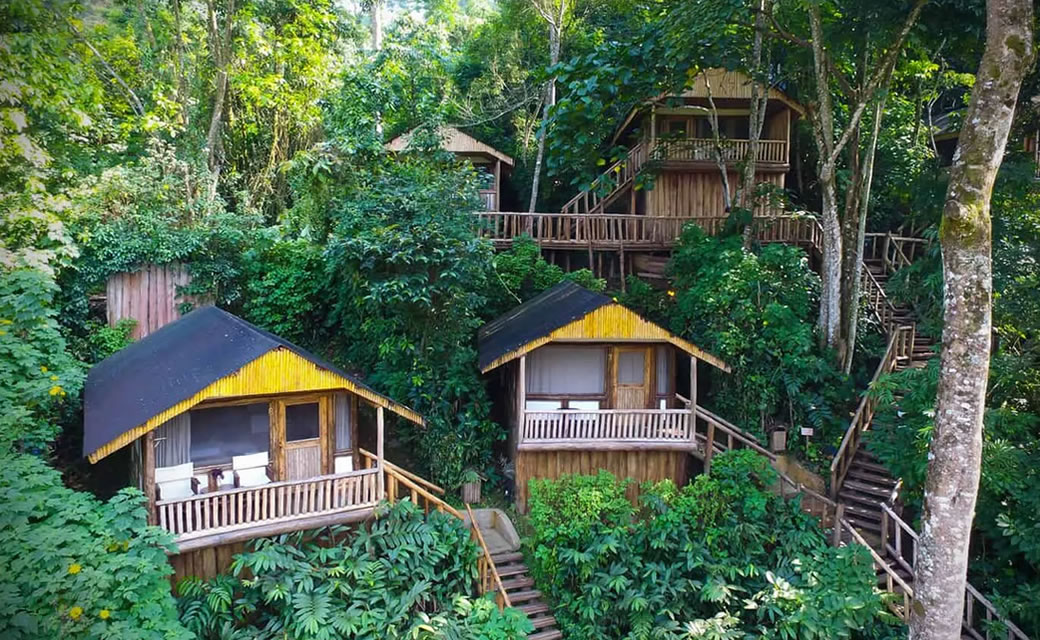 A luxury eco-lodge in Bwindi, accommodation for an 8 day Uganda wildlife and gorilla trekking tour package with luxury lodges