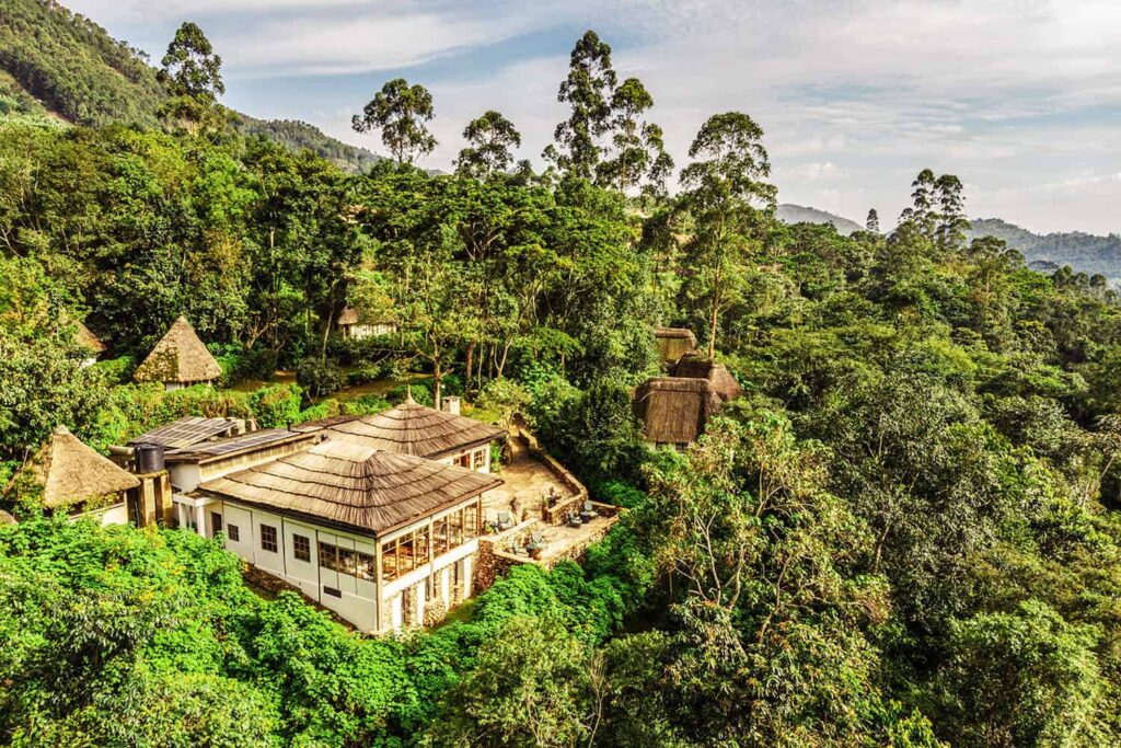 Luxury eco-lodge in Bwindi for a 3 day luxury gorilla trekking safari Bwindi fly in from Entebbe