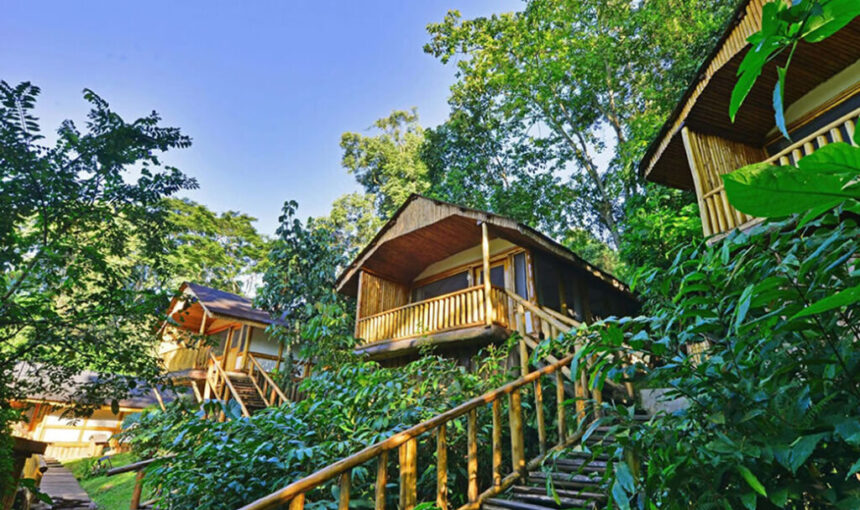 Best Luxury vs Budget Lodges Uganda: Which Is Right for Your Safari? (2026/2027 Guide)