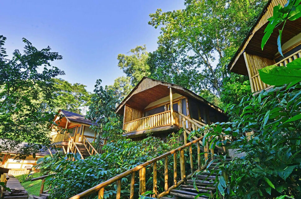 Comparison of luxury vs budget lodges Uganda, showing the differences in accommodation styles