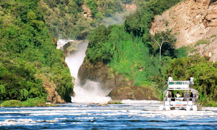 Murchison Falls National Park Safari: The Ultimate Guide to Uganda's Iconic Wildlife Destination (2026/2027) 3 Murchison Falls National Park Safari: The Ultimate Guide to Uganda’s Iconic Wildlife Destination (2026/2027)