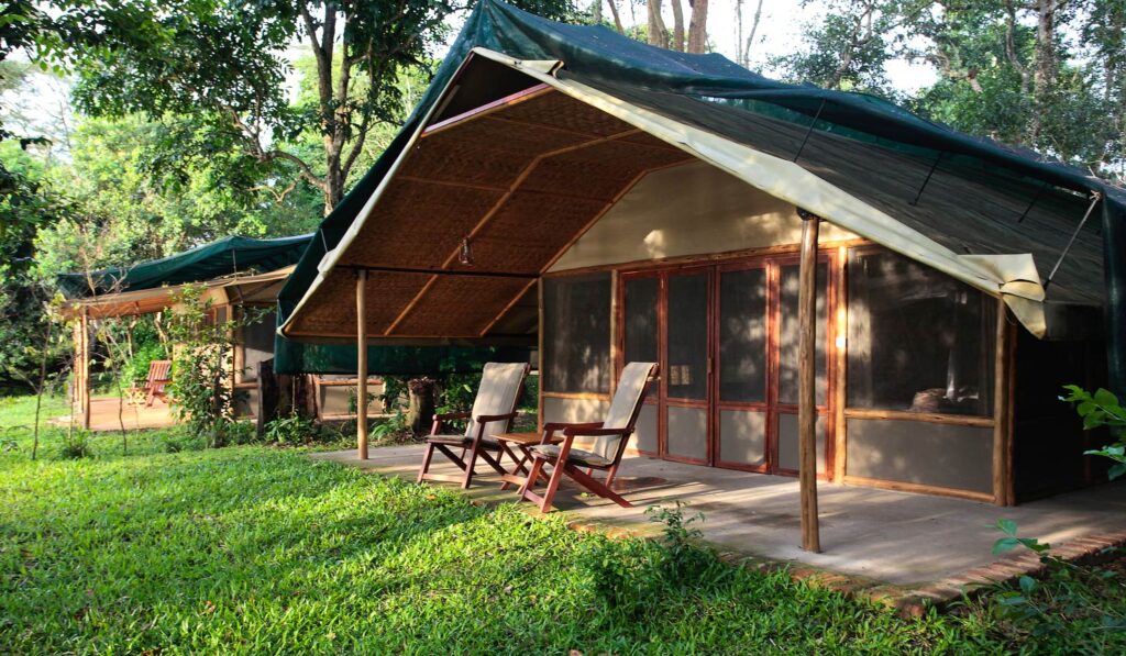 Ishasha Wilderness Camp, an exclusive Queen Elizabeth National Park safari lodge in tree-climbing lion territory