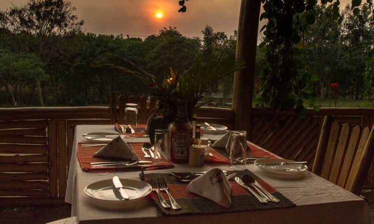 Simba Safari Camp, a budget option among Queen Elizabeth National Park safari lodges
