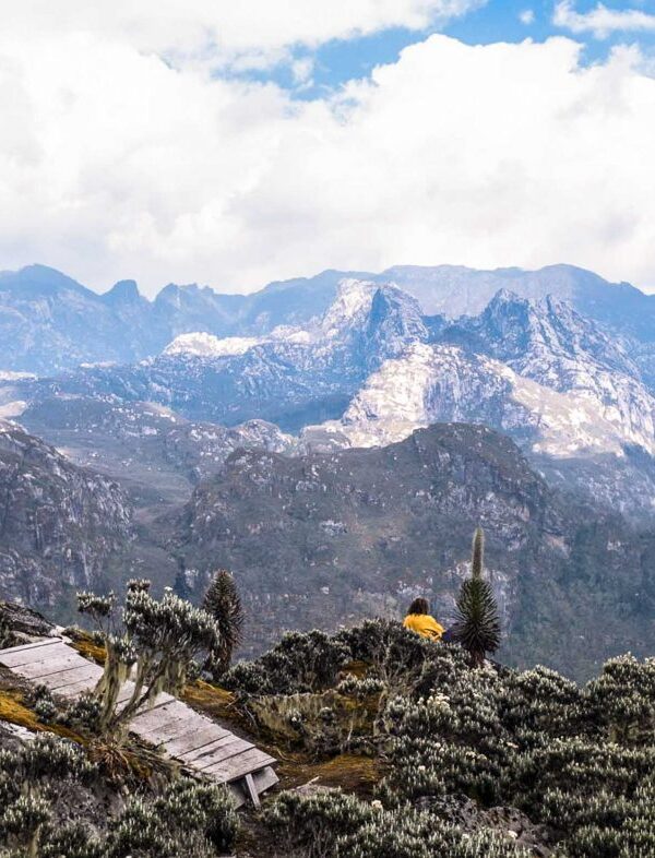 Rwenzori Mountain Hiking