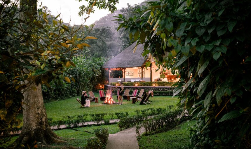 Sanctuary Gorilla Forest Camp Reviews: The Ultimate Guide to Bwindi’s Premier Tented Camp (2026/2027)
