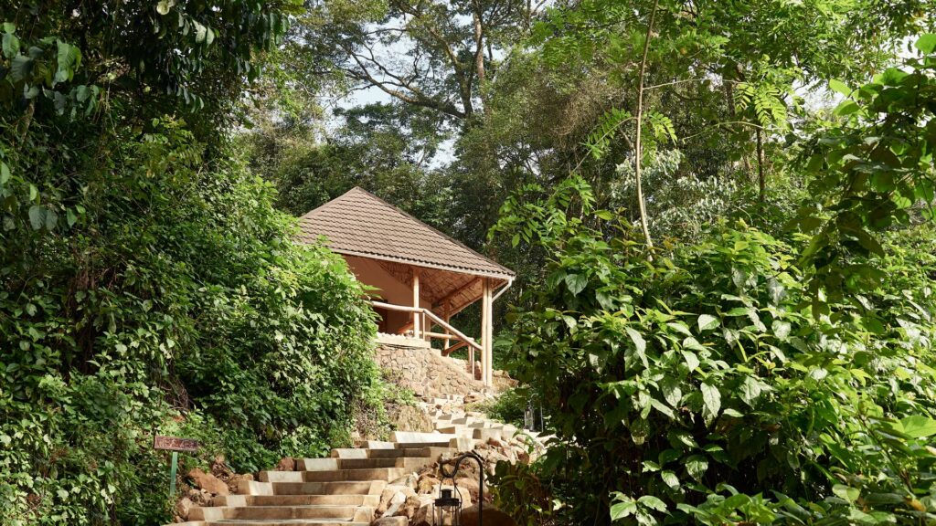 The peaceful setting of Sanctuary Gorilla Forest Camp, featured in this Sanctuary Gorilla Forest Camp review