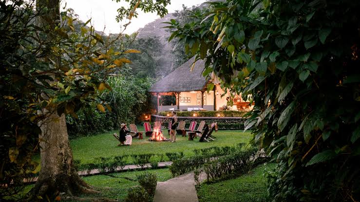 Sanctuary Gorilla Forest Camp, an intimate tented luxury lodge inside Bwindi, one of the top luxury gorilla trekking lodges in Bwindi