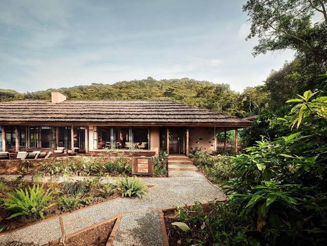 Gorilla Forest Lodge, a sustainable luxury lodge inside Bwindi, one of the top luxury eco lodges in Bwindi