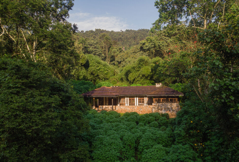 Volcanoes Bwindi Lodge, one of the top luxury eco lodges in Bwindi with sustainable design and forest views