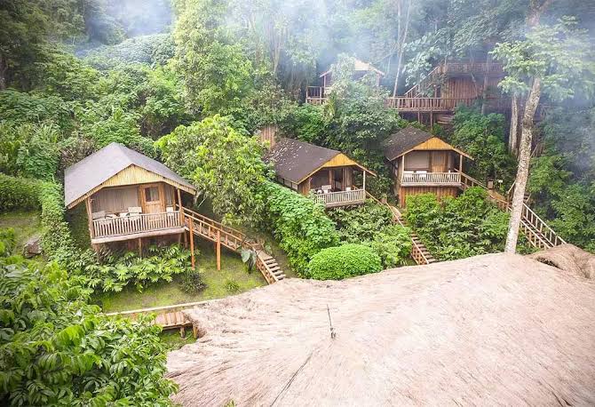 Gorilla Forest Lodge, the only luxury lodge inside Bwindi Impenetrable National Park, one of the top luxury gorilla trekking lodges in Bwindi