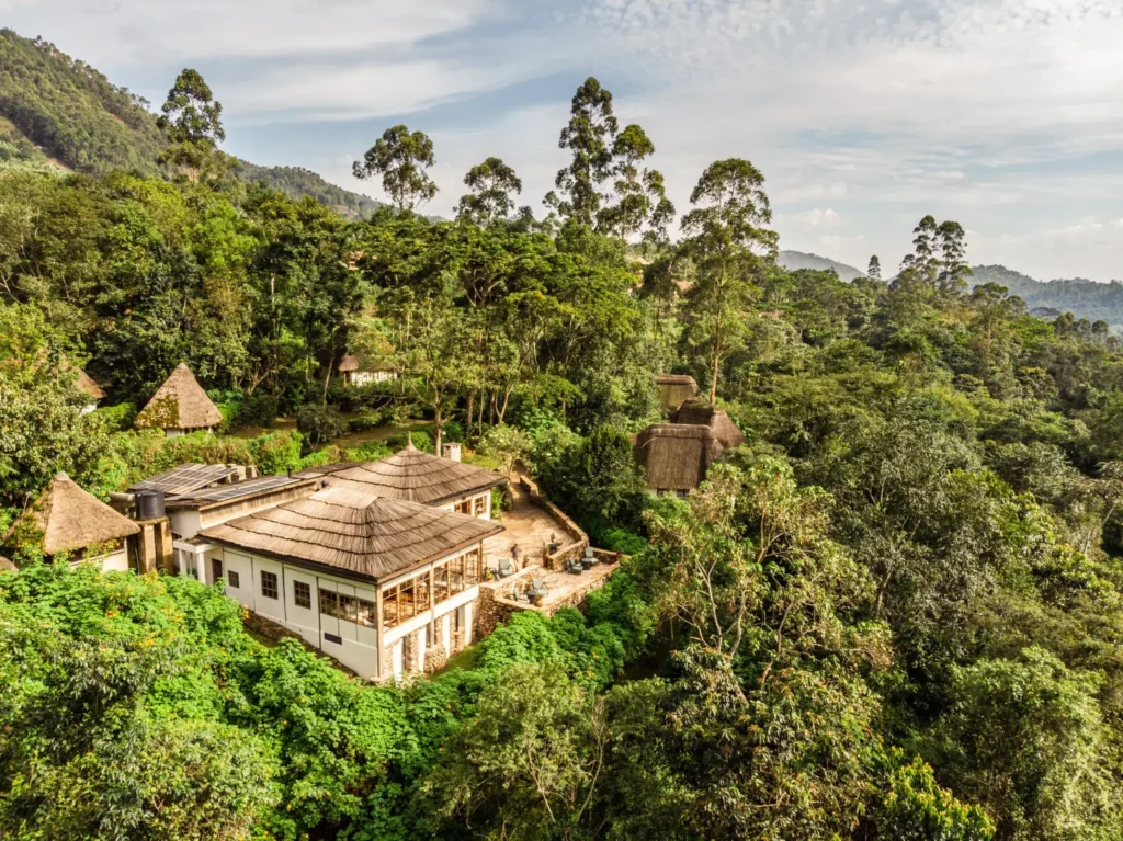 Volcanoes Bwindi Lodge, an eco-luxury lodge overlooking the forest, a top luxury gorilla trekking lodge in Bwindi