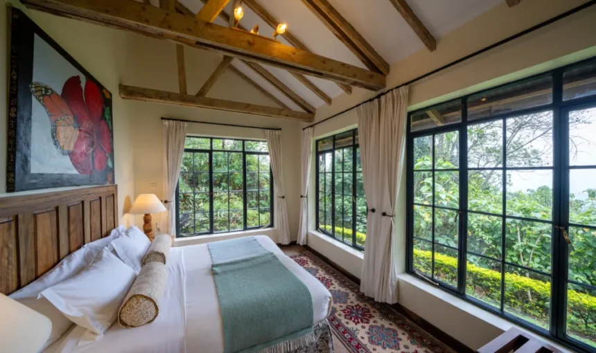 Where to Stay for Gorilla Trekking in Uganda: The Ultimate Accommodation Guide (2026/2027)