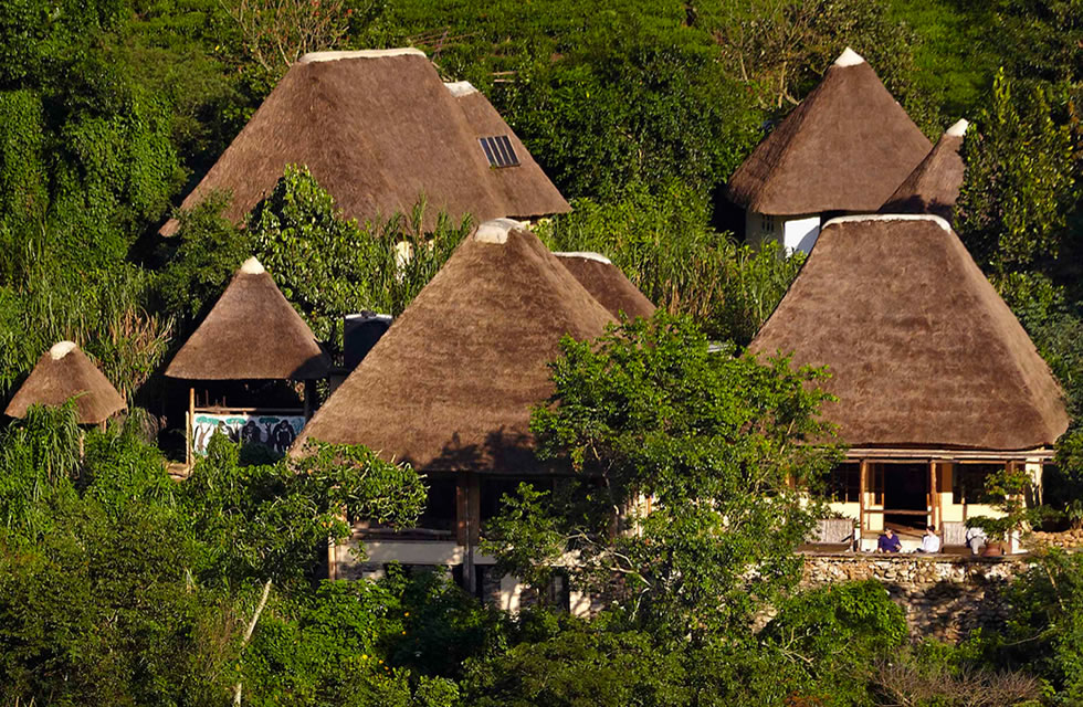 Volcanoes Bwindi Lodge, an eco-luxury option for where to stay for gorilla trekking in Uganda