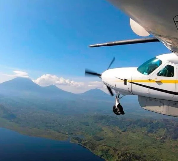 Aerolink flights Uganda vs driving safari parks – wildlife viewed from a safari vehicle