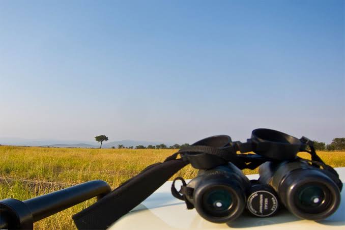 Are binoculars provided in Uganda safari vehicles – binoculars in a safari vehicle for wildlife viewing