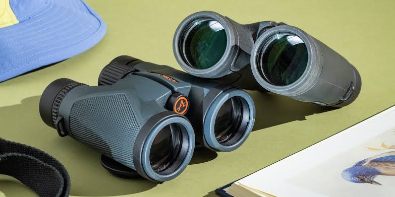 Are binoculars provided in Uganda safari vehicles – birding with binoculars in Uganda