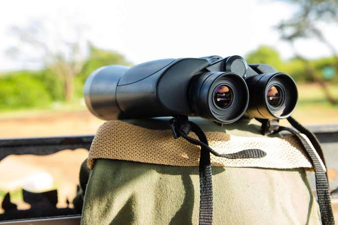 Are binoculars provided in Uganda safari vehicles – wildlife viewing with binoculars on safari