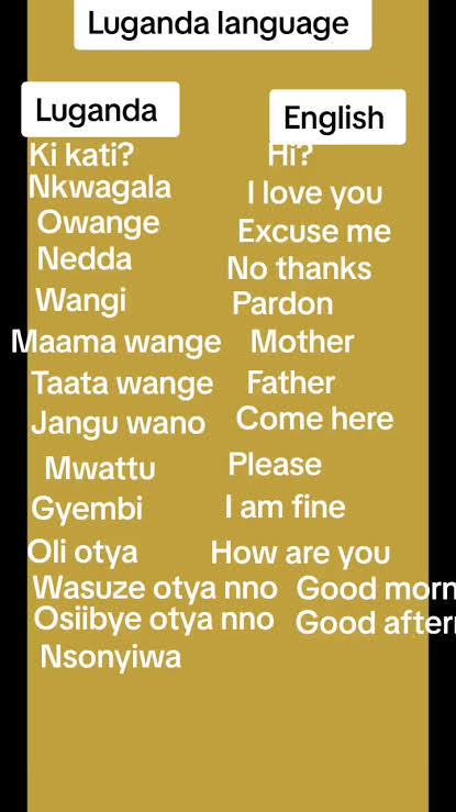Basic Luganda phrases for foreign tourists greeting – tourist conversing with a Ugandan local