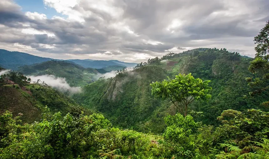 Best Time to Visit Uganda for a Safari 2026 – Monthly Weather & Wildlife Guide