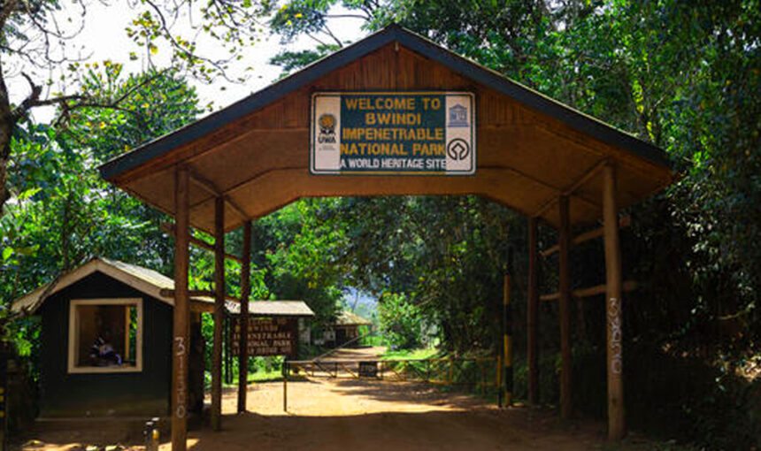 Bwindi National Park DRC Border Safety – 2026 Travel Guide