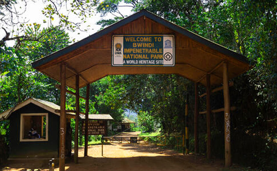Bwindi national park DRC border safety – Bwindi Impenetrable National Park entrance gate with rangers