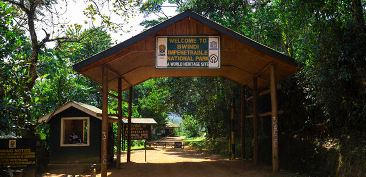 Bwindi national park DRC border safety – Bwindi Impenetrable National Park entrance gate with rangers