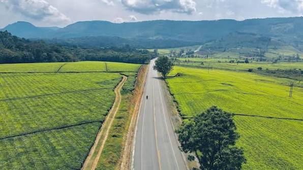 Cheapest Domestic Charter Flights to Kisoro vs Road Drive 2026 – Which Is Best for Your Uganda Safari?