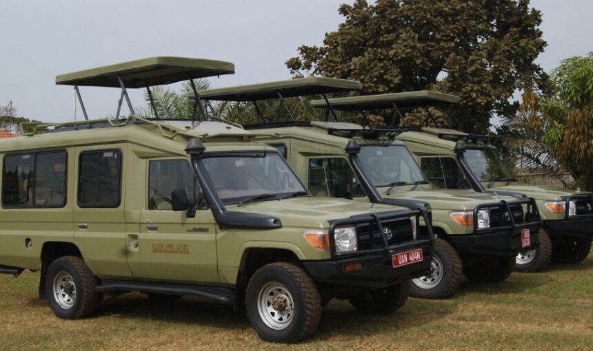Do I Need a Guide for Murchison Falls Self Drive? – 2026 Guide