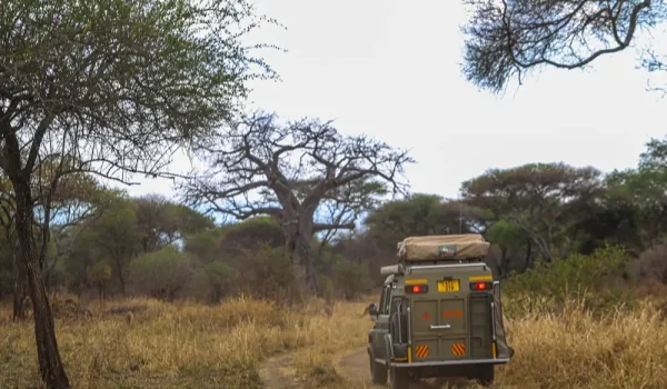 Driving Uganda rainy season safari tracks – 4x4 vehicle on a wet game drive track