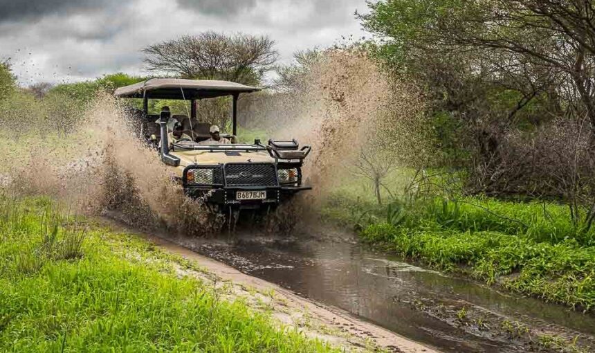 Driving Uganda Rainy Season Safari Tracks – 2026 Guide