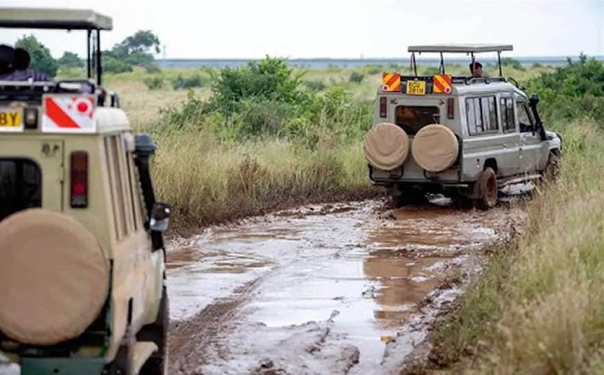 Driving Uganda rainy season safari tracks – wildlife viewing in the rain